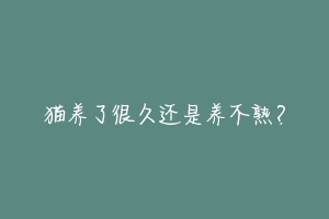 猫养了很久还是养不熟?-动物百科