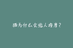 猫为什么会给人按摩?-动物百科