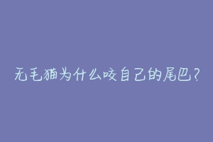 无毛猫为什么咬自己的尾巴?-动物百科