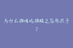 为什么猫咪吃猫粮之后甩爪子?-动物百科
