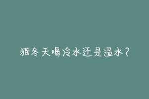 猫冬天喝冷水还是温水?-动物百科