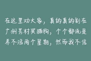 在这里劝大家,真的真的别在广州芳村买猫狗,个个都说是养不活两个星期,然而我不信,买了猫。半个月不?-动物百科