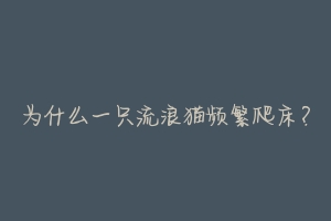 为什么一只流浪猫频繁爬床?-动物百科