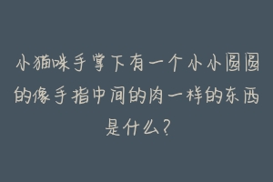 小猫咪手掌下有一个小小圆圆的像手指中间的肉一样的东西是什么?-动物百科