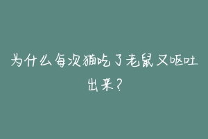 为什么每次猫吃了老鼠又呕吐出来?-动物百科