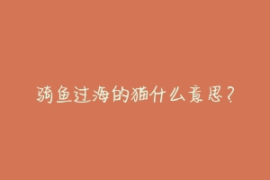 骑鱼过海的猫什么意思？-动物百科