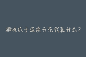 猫咪爪子连续开花代表什么？-动物百科