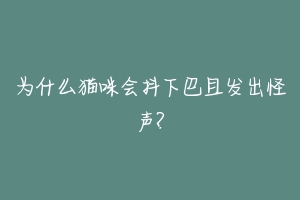 为什么猫咪会抖下巴且发出怪声?-动物百科