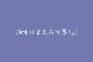 猫咪口臭怎么回事儿?-动物百科