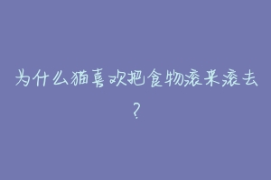 为什么猫喜欢把食物滚来滚去?-动物百科