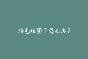 猫毛结团了怎么办?-动物百科