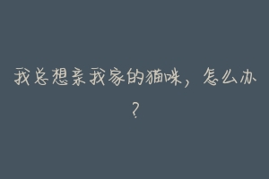 我总想亲我家的猫咪,怎么办?-动物百科