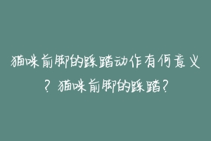 猫咪前脚的踩踏动作有何意义？猫咪前脚的踩踏？-动物百科
