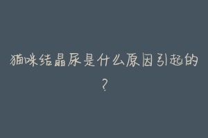 猫咪结晶尿是什么原因引起的？-动物百科