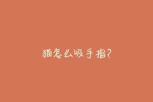 猫怎么吸手指？-动物百科