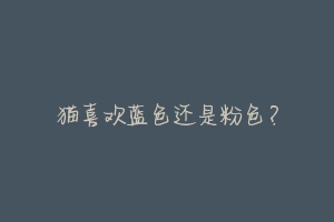 猫喜欢蓝色还是粉色？-动物百科