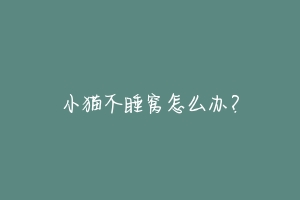 小猫不睡窝怎么办？-动物百科