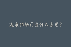 流浪猫敲门是什么意思?-动物百科