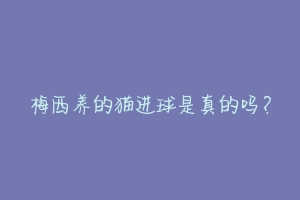 梅西养的猫进球是真的吗?-动物百科