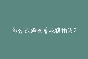 为什么猫咪喜欢被拍头?-动物百科