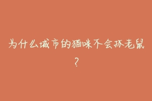 为什么城市的猫咪不会抓老鼠?-动物百科
