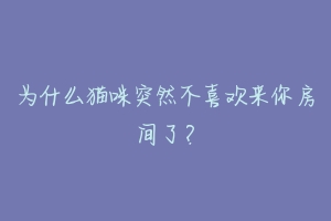 为什么猫咪突然不喜欢来你房间了?-动物百科