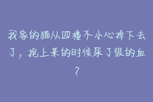 我家的猫从四楼不小心掉下去了,抱上来的时候尿了很的血?-动物百科