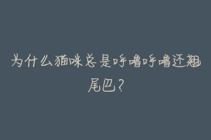 为什么猫咪总是呼噜呼噜还翘尾巴?-动物百科