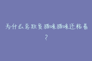 为什么总欺负猫咪猫咪还粘着?-动物百科