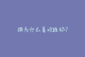 猫为什么喜欢踩奶？-动物百科