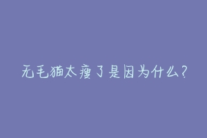 无毛猫太瘦了是因为什么？-动物百科