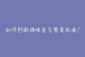 如何判断猫咪是否需要洗澡？-动物百科