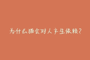 为什么猫会对人产生依赖？-动物百科