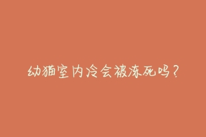 幼猫室内冷会被冻死吗？-动物百科