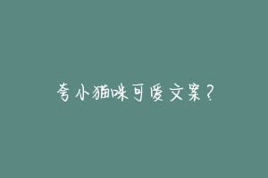 夸小猫咪可爱文案?-动物百科