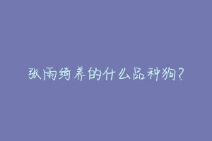 张雨绮养的什么品种狗?-动物百科