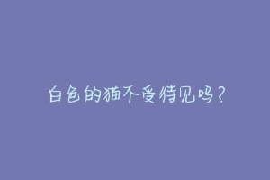 白色的猫不受待见吗?-动物百科