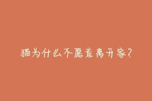 猫为什么不愿意离开家?-动物百科