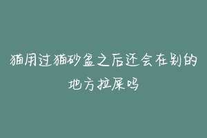 猫用过猫砂盆之后还会在别的地方拉屎吗-动物百科