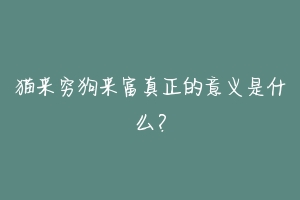 猫来穷狗来富真正的意义是什么?-动物百科