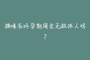猫咪在怀孕期间会无故抓人吗?-动物百科