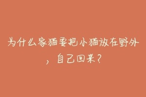 为什么家猫要把小猫放在野外,自己回来?-动物百科