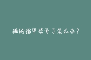 猫的指甲劈开了怎么办?-动物百科