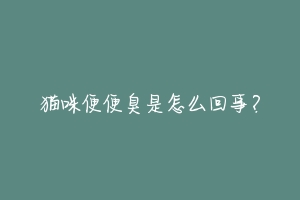 猫咪便便臭是怎么回事?-动物百科