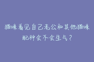 猫咪看见自己老公和其他猫咪配种会不会生气?-动物百科