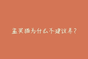 孟买猫为什么不建议养?-动物百科