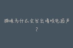 猫咪为什么会发出嘎吱电报声?-动物百科