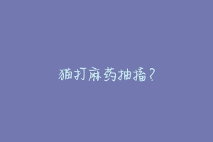 猫打麻药抽搐?-动物百科