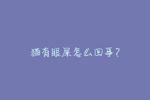 猫有眼屎怎么回事?-动物百科