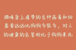 猫咪身上携带的各种病毒和细菌要远远比狗狗多很多,对人的健康的危害相比于狗狗来说也要大很多很多?-动物百科